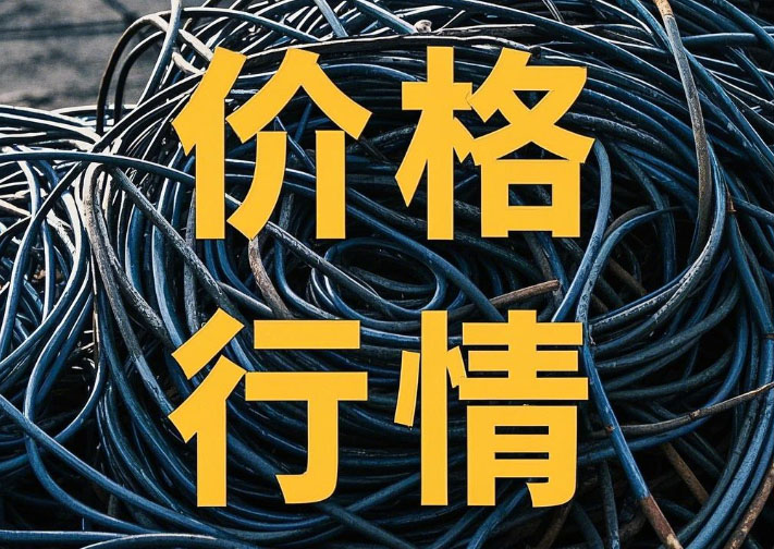 2020-2024 »ռ۸ͭƵĹ