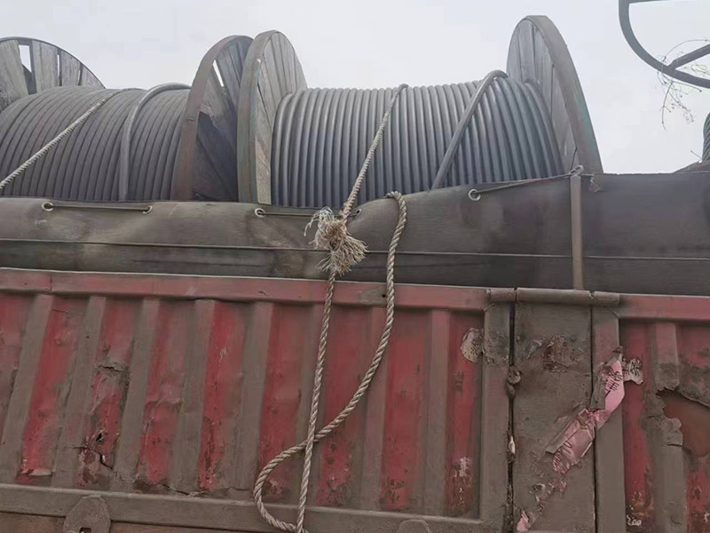 �Ͼɵ��»���